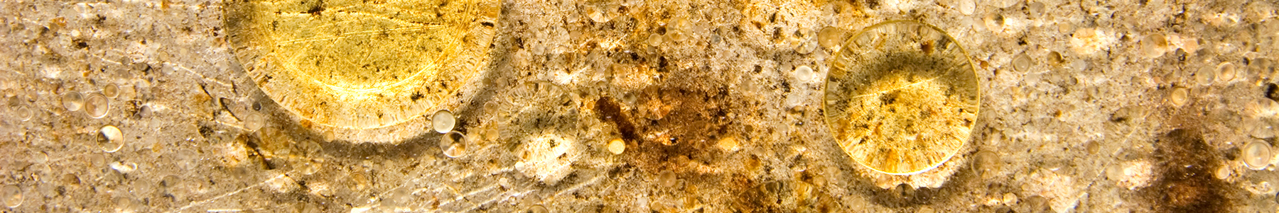 Grease trap cleaning and emptying - Montreal, Montréal-Est, Mont-Royal, Hampstead, Côte-Saint-Luc, Montréal-Ouest, Westmount, Beaconsfield, Baie-d’Urfé, Dorval, Dollard-Des Ormeaux, Kirkland, Pointe-Claire, Sainte-Anne-de-Bellevue, Senneville, Anjou, Côte-des-Neiges, Notre-Dame-de-Grâce, Lachine, LaSalle, Le Plateau-Mont-Royal, L’Île-Bizard, Sainte-Geneviève, Mercier, Hochelaga, Maisonneuve, Montréal-Nord, Outremont, Pierrefonds, Roxboro, Rivière-des-Prairies, Pointe-aux-Trembles, Rosemont, La Petite-Patrie, Saint-Laurent, Saint-Léonard, Verdun, Ville-Marie, Villeray, Saint-Michel, Parc-Extension, etc. - Drainage Québécois and Group Sanyvan Grease trap cleaning and emptying - Montreal, Montréal-Est, Mont-Royal, Hampstead, Côte-Saint-Luc, Montréal-Ouest, Westmount, Beaconsfield, Baie-d’Urfé, Dorval, Dollard-Des Ormeaux, Kirkland, Pointe-Claire, Sainte-Anne-de-Bellevue, Senneville, Anjou, Côte-des-Neiges, Notre-Dame-de-Grâce, Lachine, LaSalle, Le Plateau-Mont-Royal, L’Île-Bizard, Sainte-Geneviève, Mercier, Hochelaga, Maisonneuve, Montréal-Nord, Outremont, Pierrefonds, Roxboro, Rivière-des-Prairies, Pointe-aux-Trembles, Rosemont, La Petite-Patrie, Saint-Laurent, Saint-Léonard, Verdun, Ville-Marie, Villeray, Saint-Michel, Parc-Extension, etc. - Drainage Québécois and Group Sanyvan